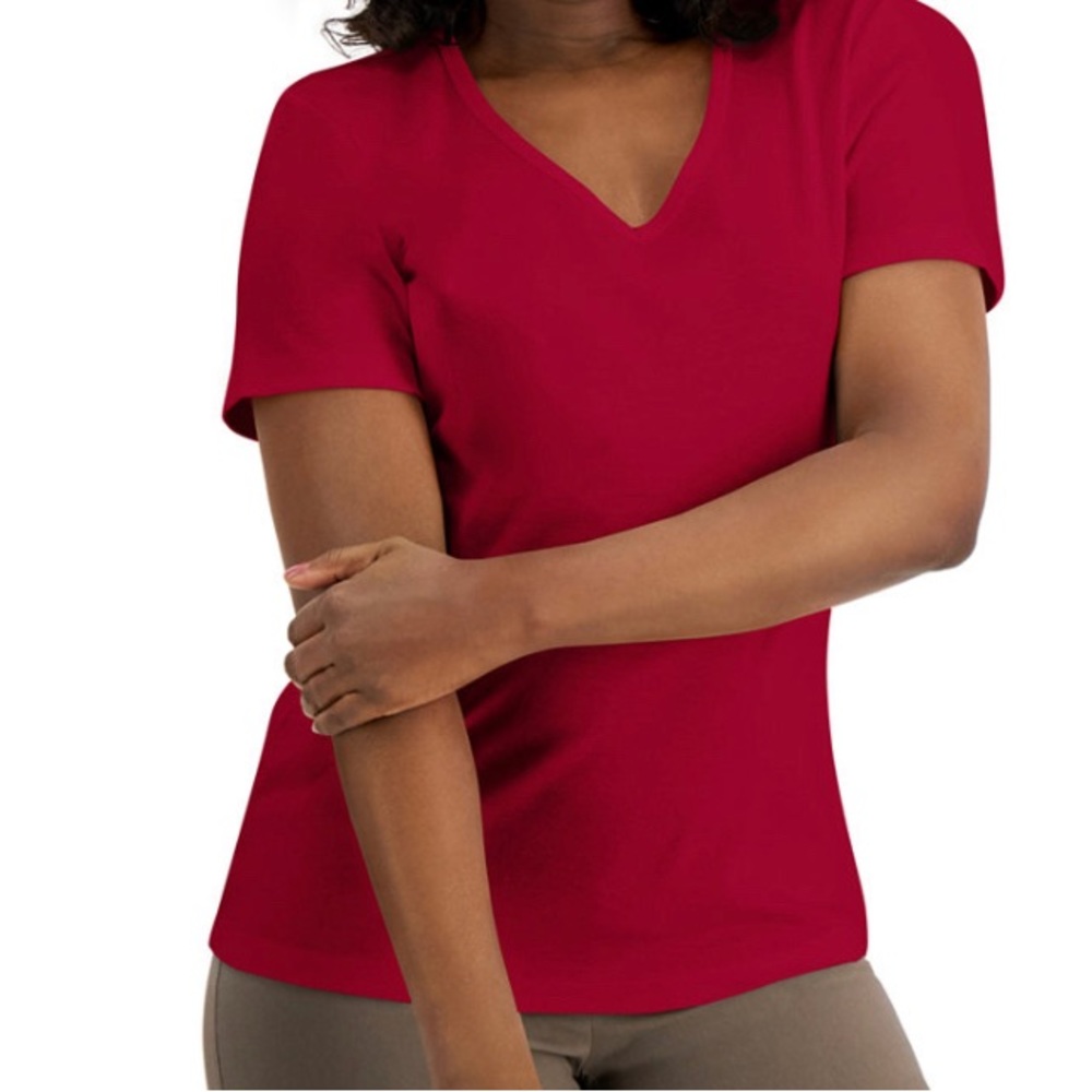 Comfy Karen Scott V Neck top